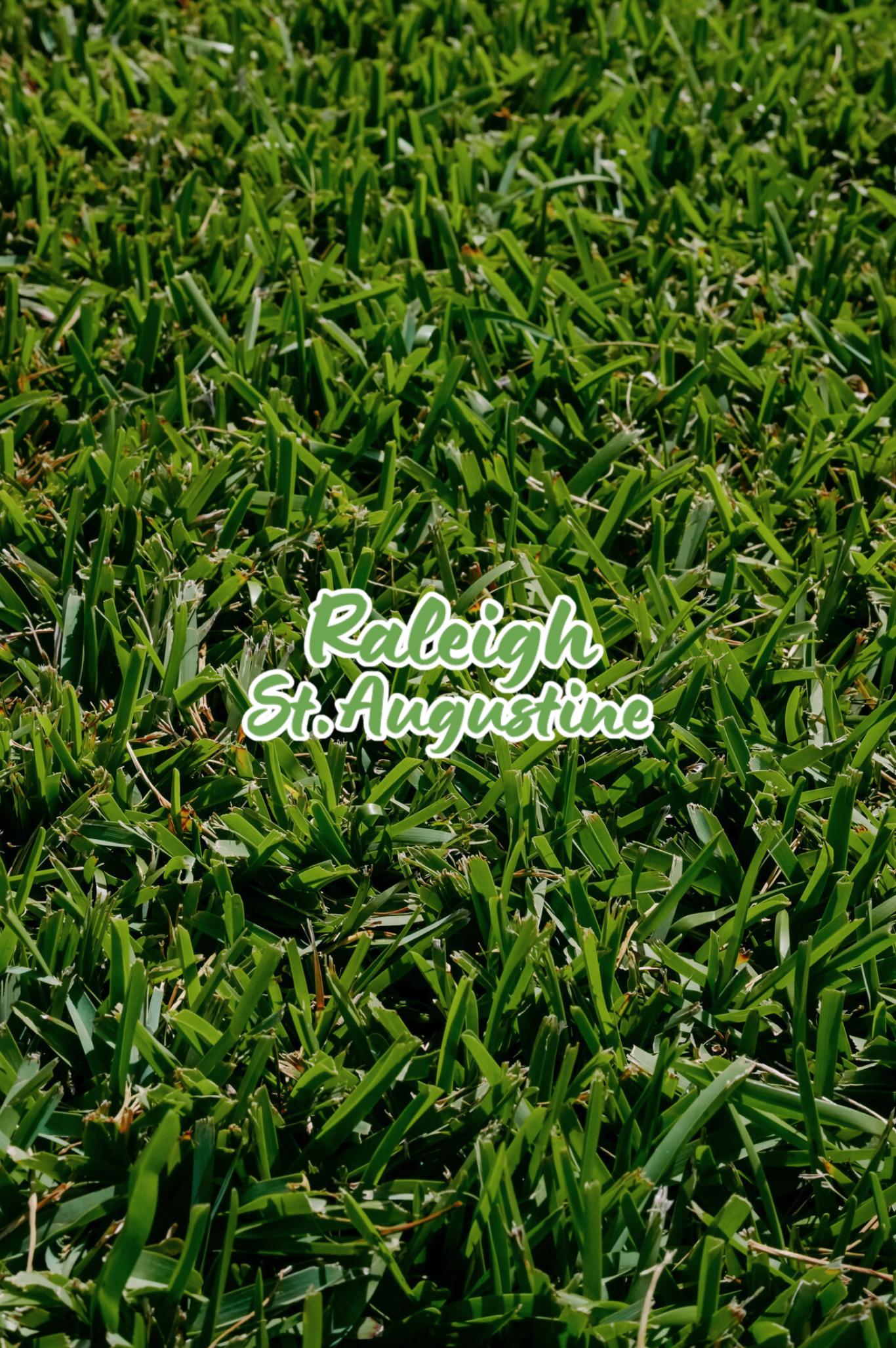 RALEIGH ST. AUGUSTINE