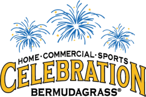 celebration